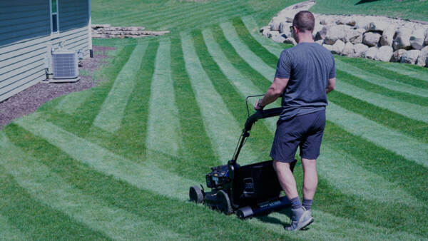 Lawn Stryper 1 8002